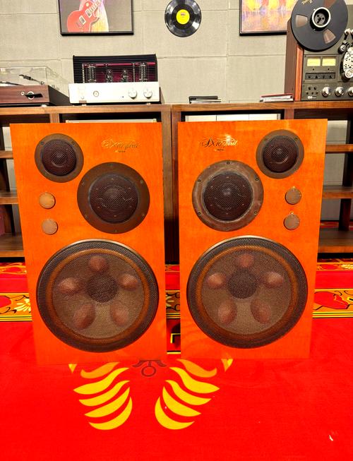 荷兰victoryday高清版