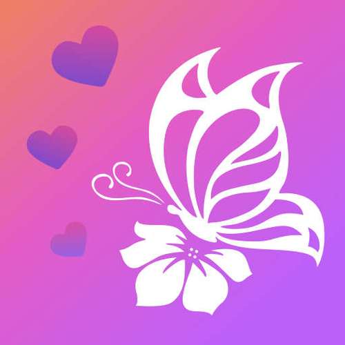 708.t∨凤蝶直播