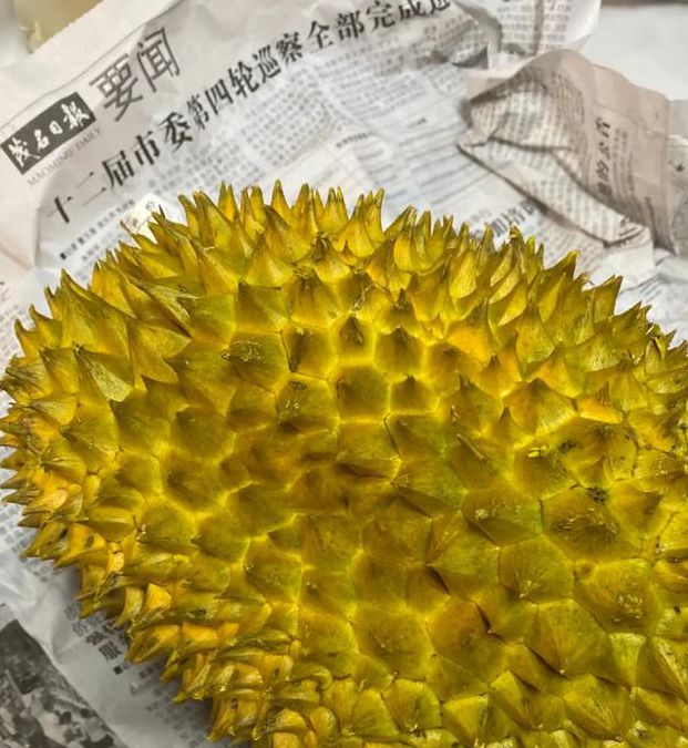 榴莲.combo2.0深夜释放自己无限免费版