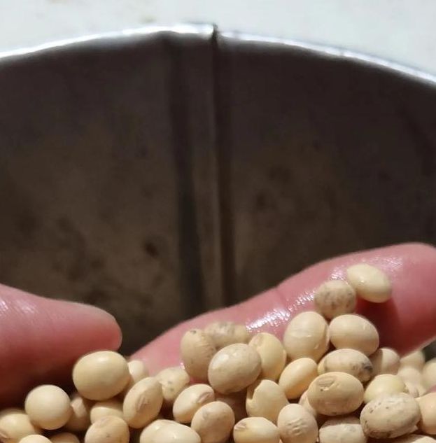 豆芽视频安装黄