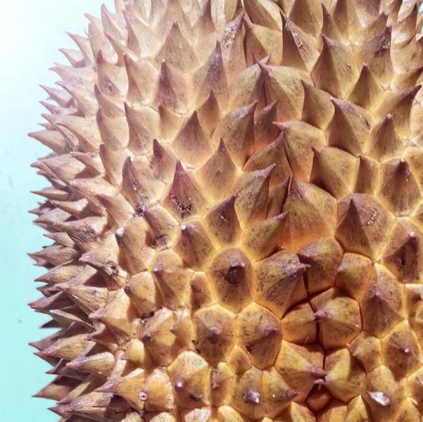 污草莓榴莲深夜释放自己