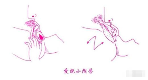 口爱50技巧视频
