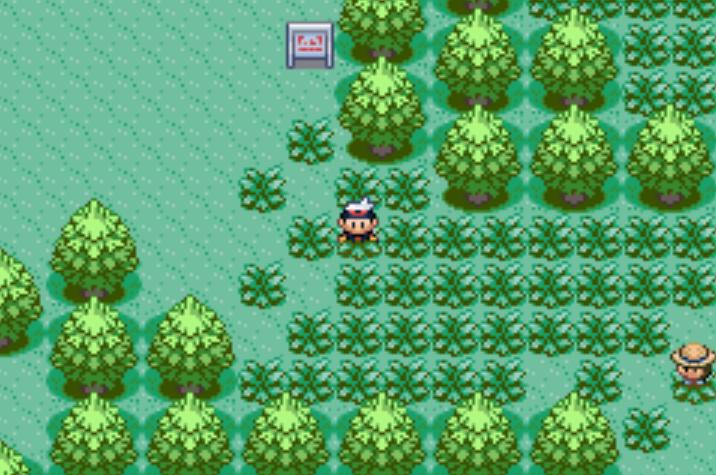 口袋妖怪漆黑的魅影