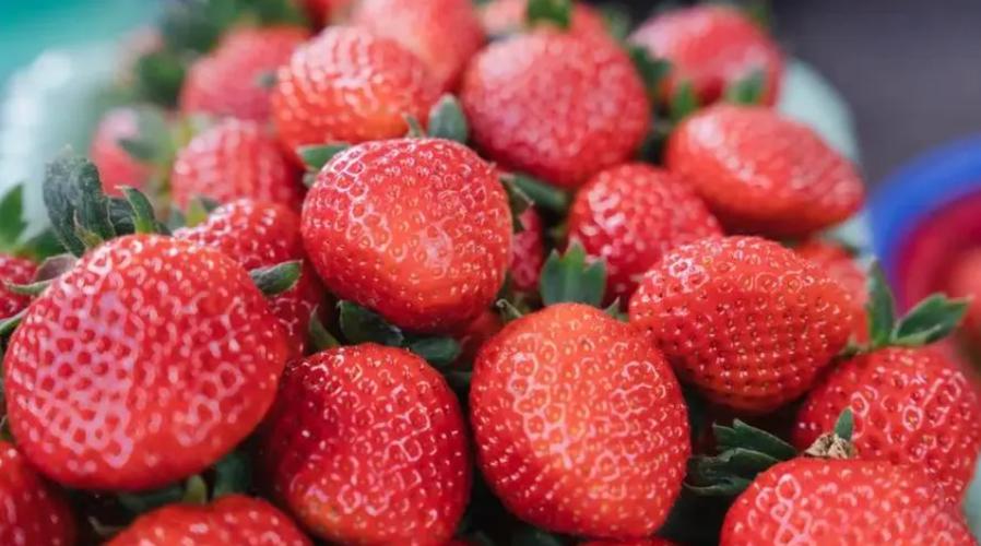 草莓香蕉樱桃黄瓜丝瓜榴莲安卓免费