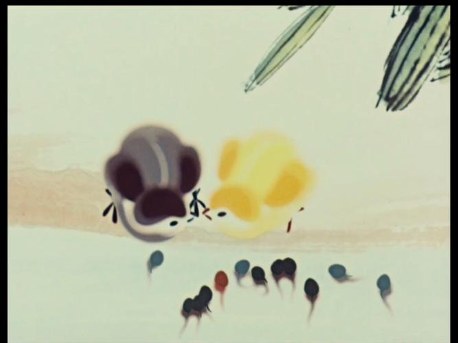 小蝌蚪xkd下载旧版本