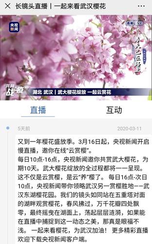 樱花直播在线观看