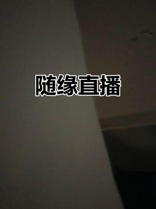 缘分直播应用下载