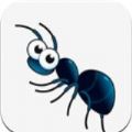青蚁帮安卓版