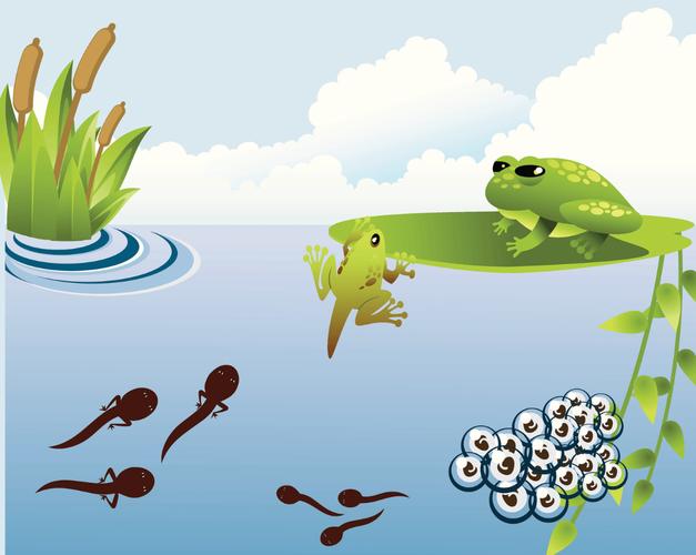 小蝌蚪下载大全APP小蝌蚪吧：能够完全免费的观看各种视频资源的APP