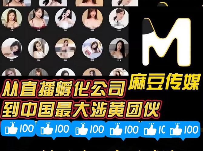 md传媒视频在线观看