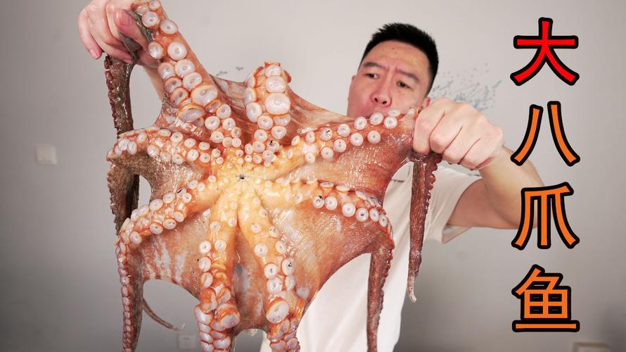 章鱼视频免费观看