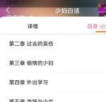 白洁系列全集大全目录