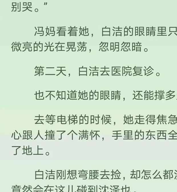 白洁系列全集大全目录