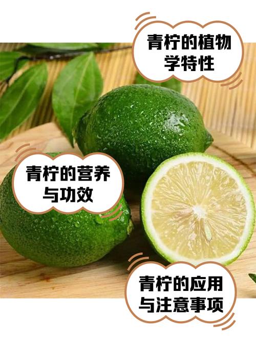 青柠在线高清APP