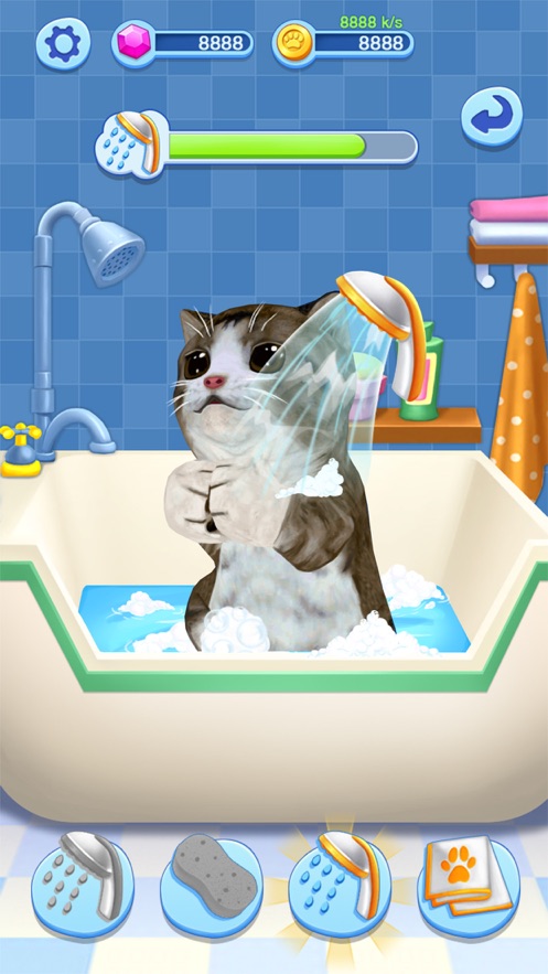 我的小猫咪养成记