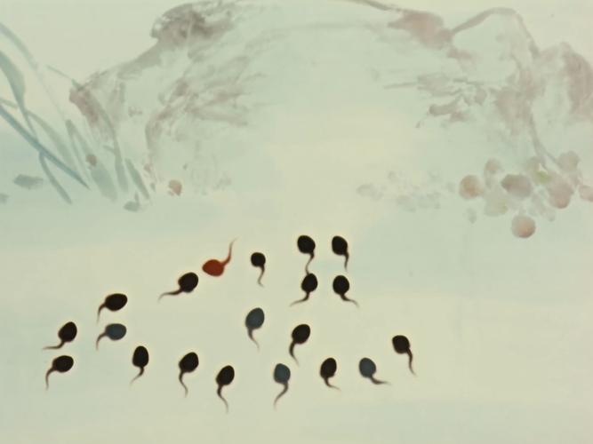 小蝌蚪视频网5.3.5下载