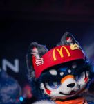 多毛bgmbgmbgm胖觉觉最新版