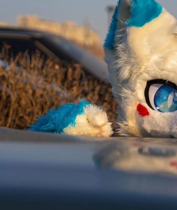 多毛bgmbgmbgm胖觉觉最新版