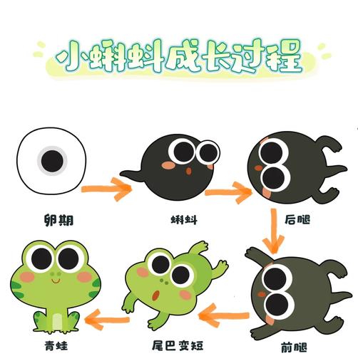 小蝌蚪下载大全app小蝌蚪吧