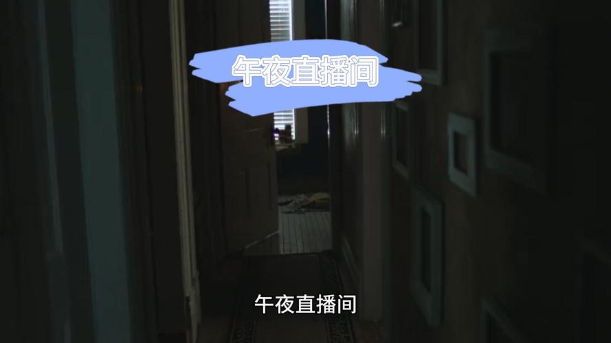 半夜直播间