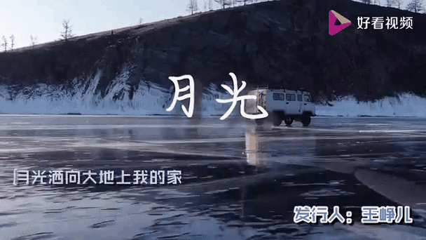 月光影视免费完整版