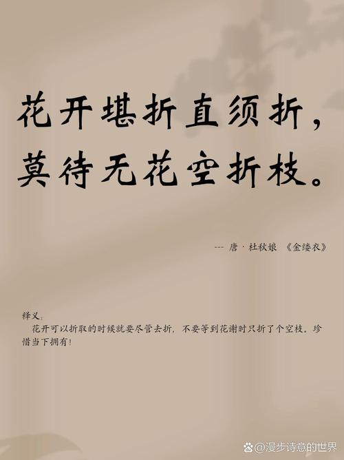 花开堪折txt下载