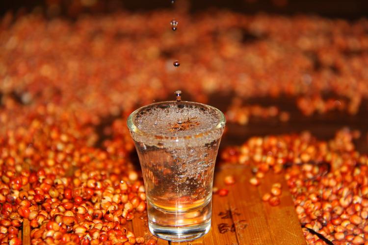 酒色世界无码一区二区