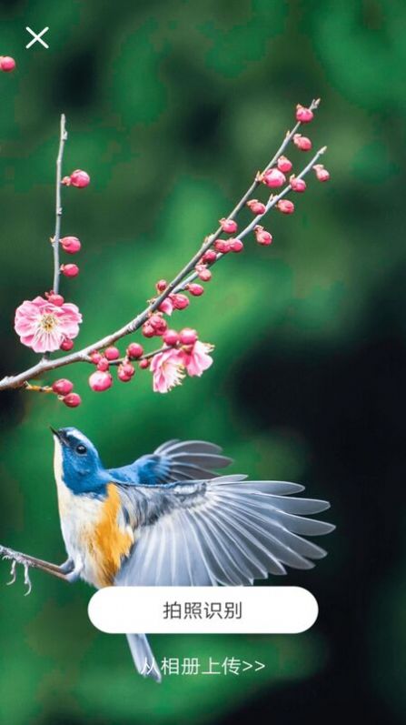 识物通官方版