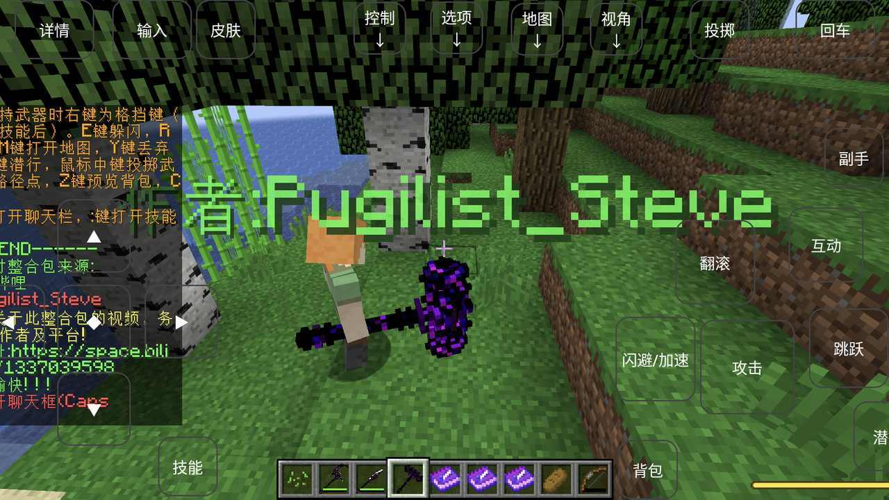 我的世界海川同款海贼王