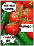 黄瓜番茄草莓免费版
