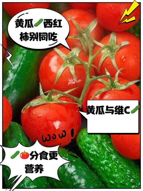 黄瓜番茄草莓免费版