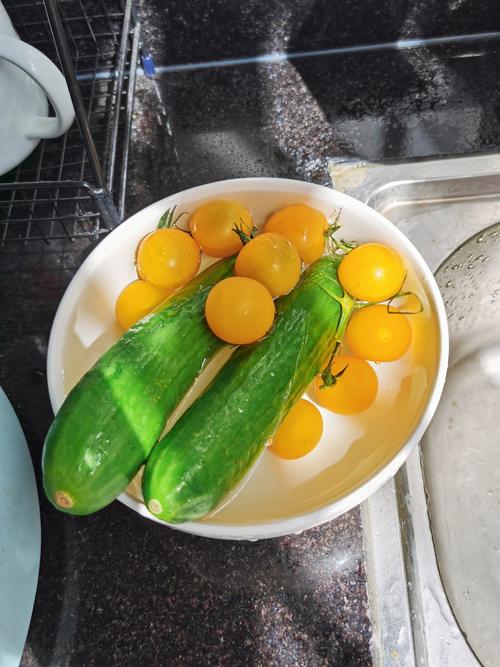 黄瓜番茄草莓免费版