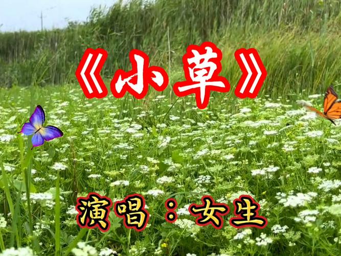 小草在线观看免费高清视频