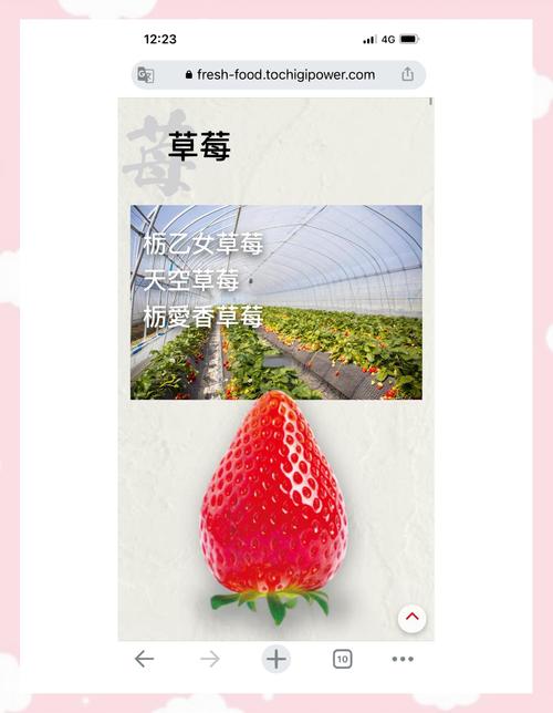 草莓app下载汅api未满入内免费站长统计ios