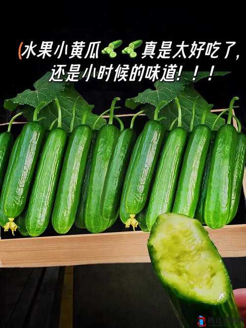 丝瓜黄瓜草莓芒果向日葵秋葵榴莲appios