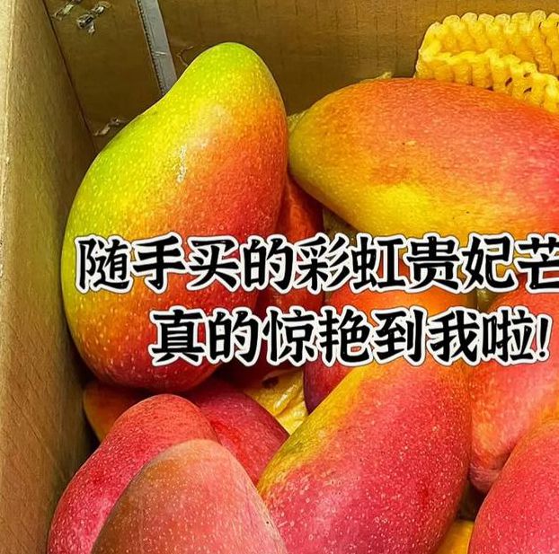 一二三四区别芒果乱码