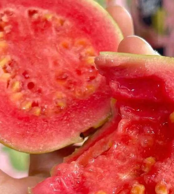 芭乐蕾丝草莓榴莲视频绿巨人