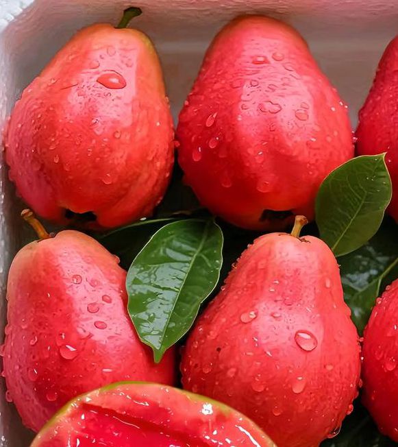 芭乐蕾丝草莓榴莲视频绿巨人