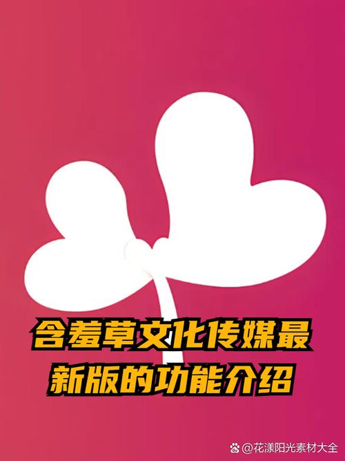 含羞草传媒app官方网站进入