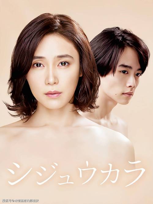 忘忧草影视www日本