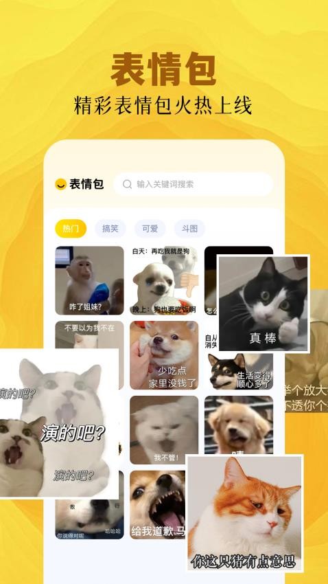 魅影手机壁纸高清图片