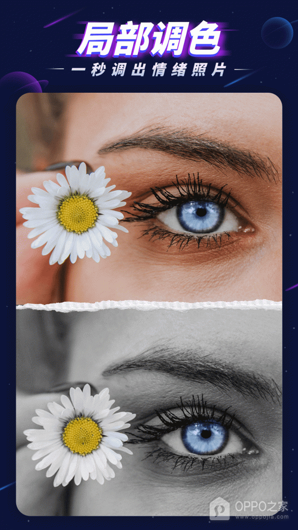 P图大师最新版免费版