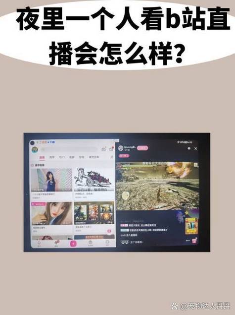 免费私人直播间 哔哩哔哩