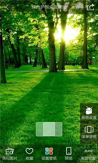 壁纸多多安卓版