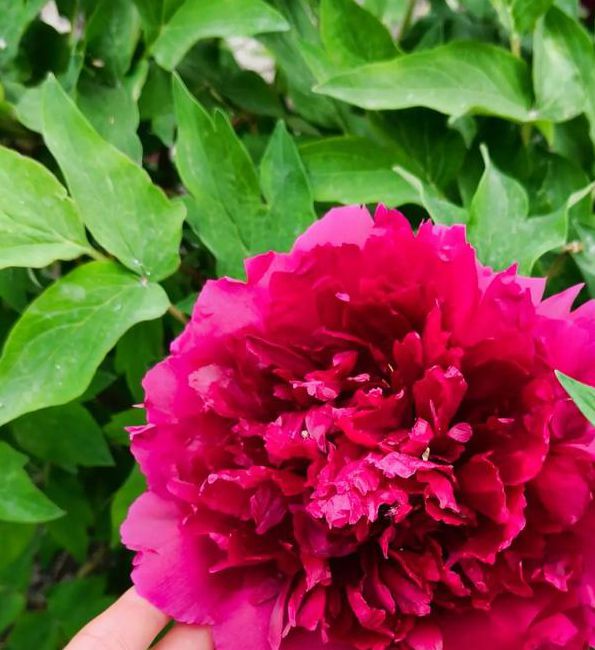 国色天香社区视频免费高清