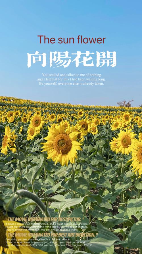 向日葵下载汅api免费旧版