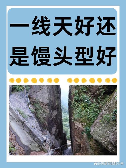 绝美馒头一线天