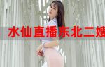 东北水仙二傁bd视频