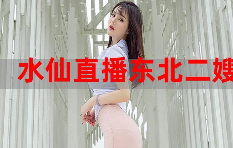 东北水仙二傁bd视频