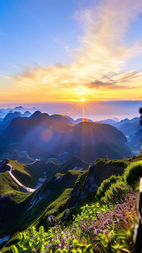 太阳视频在线观看地址下载